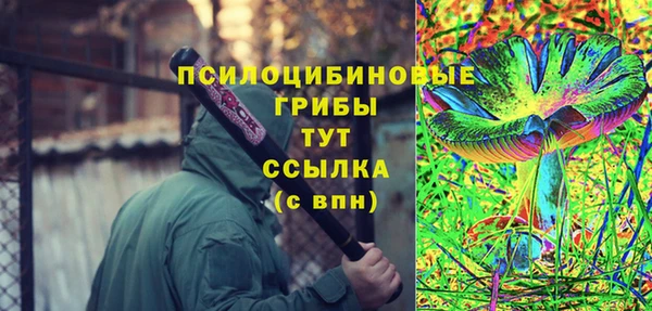 МДПВ Козловка