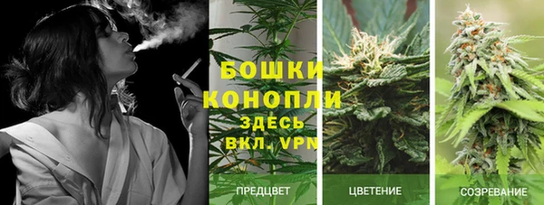 COCAINE Костерёво