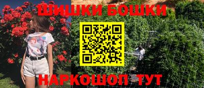 индика Комсомольск-на-Амуре