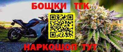 индика Комсомольск-на-Амуре